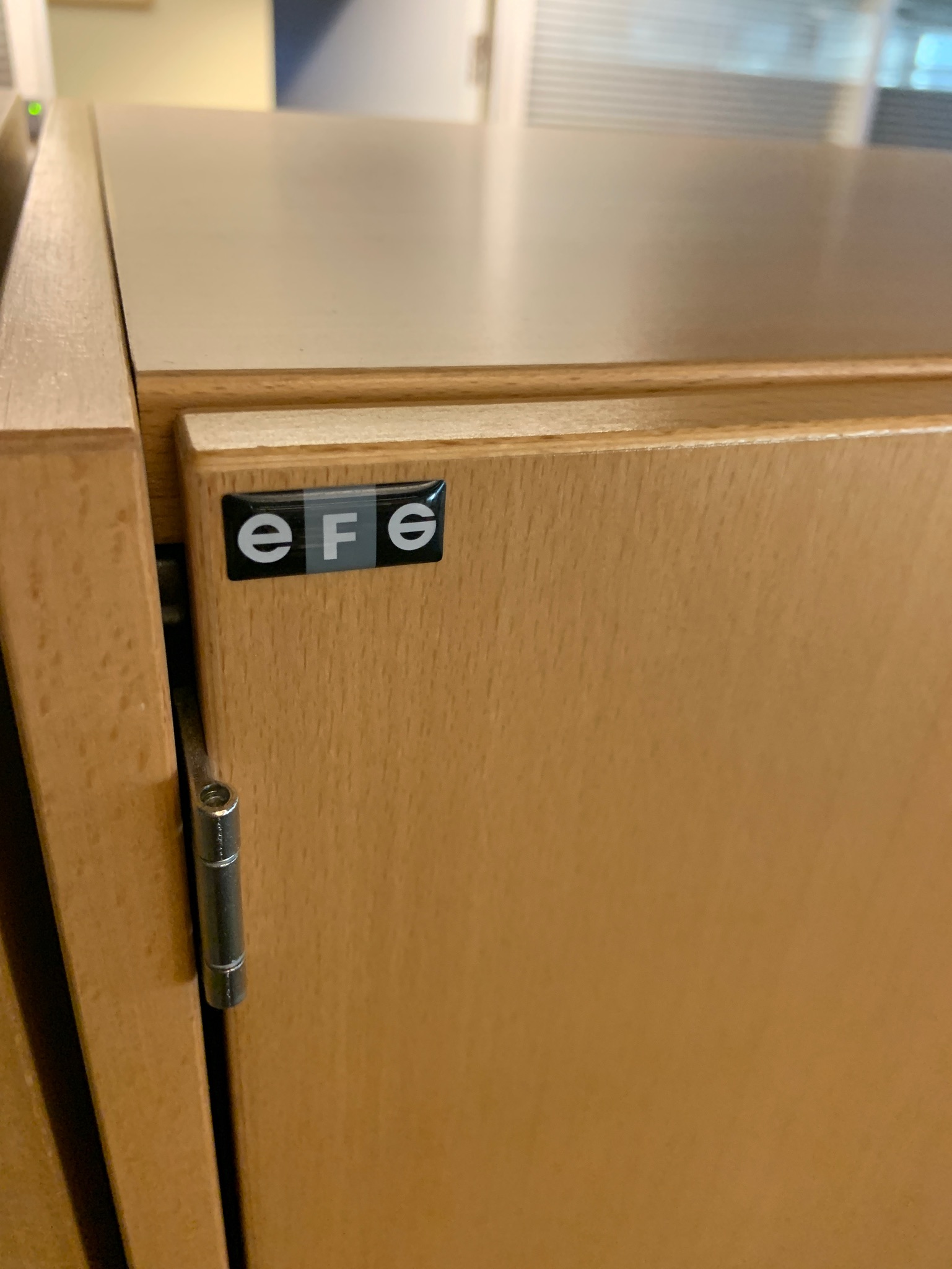 Selt/endurnýtt-EFG skápar læsanlegir 10
