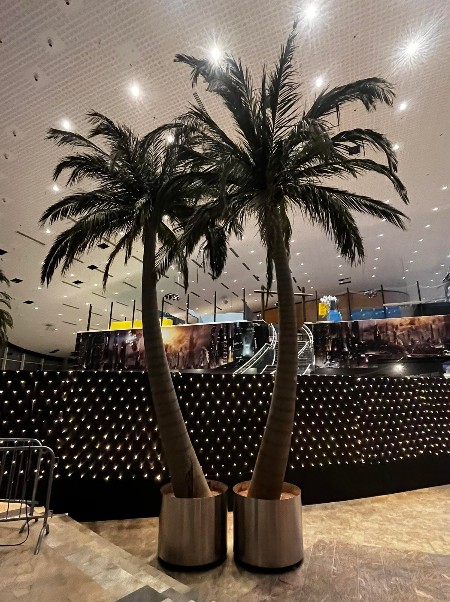 Pálmatré - Palm trees (3 stk) 4