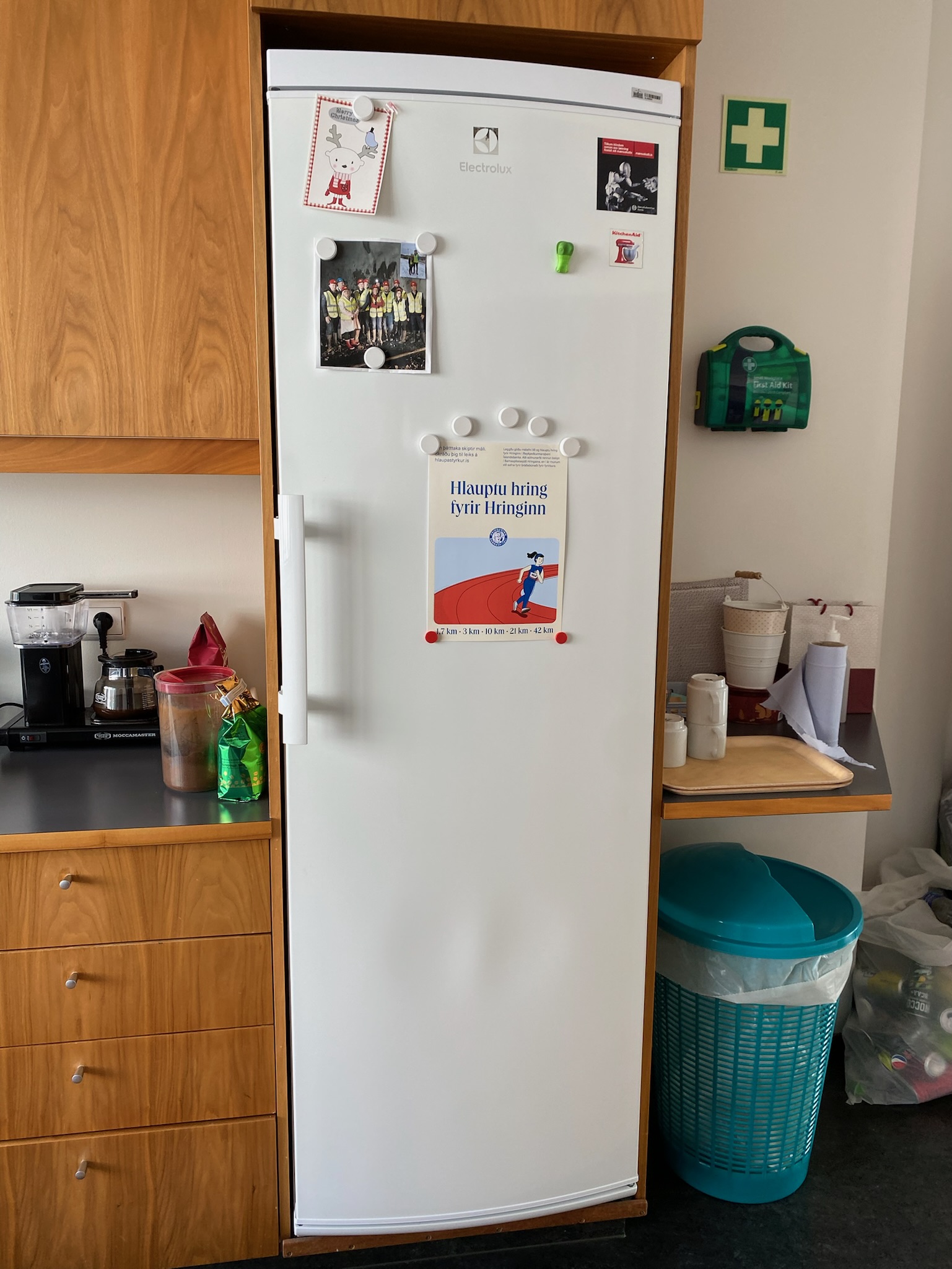 SELT / SOLD Electrolux kæliskápur 396 lítra - Alþingi