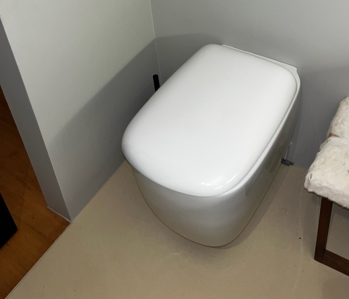 SELT / SOLD WC Flaminia Mono vegghengt salerni 4