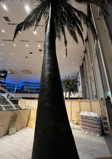 Pálmatré - Palm trees (3 stk) 6