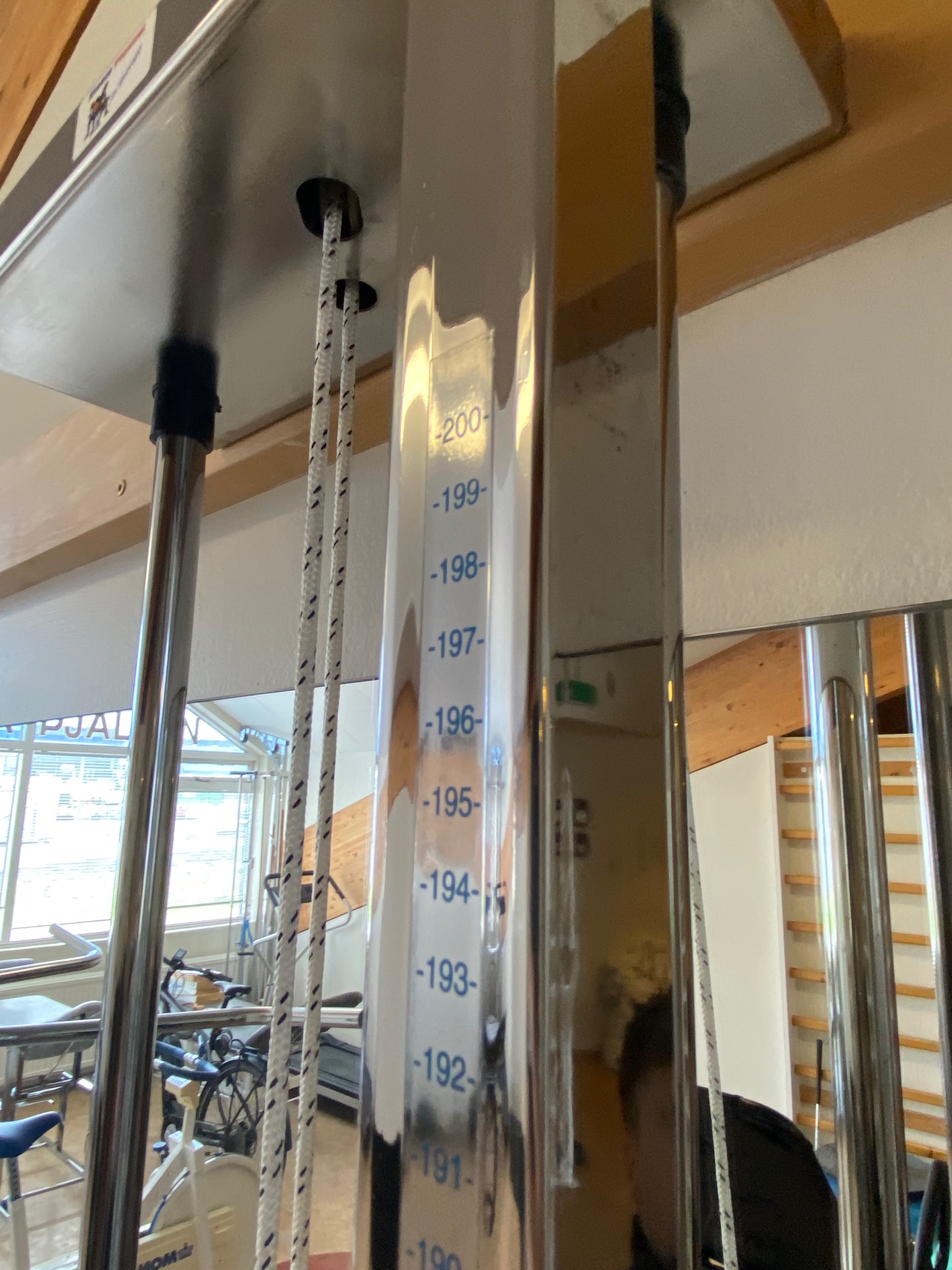 SELT / SOLD Trissa / Cable Machine, 20 kg 9