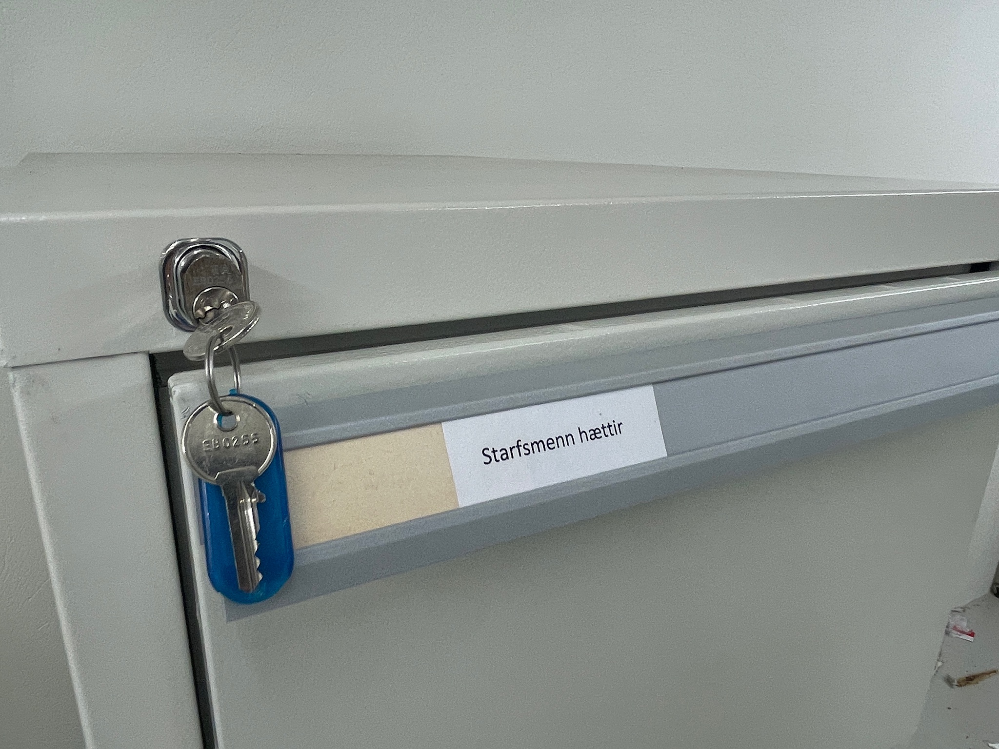 SELT/SOLDOptima eldvarinn skjalaskápur, H143xB53xD77sm. (1 stk.) 4