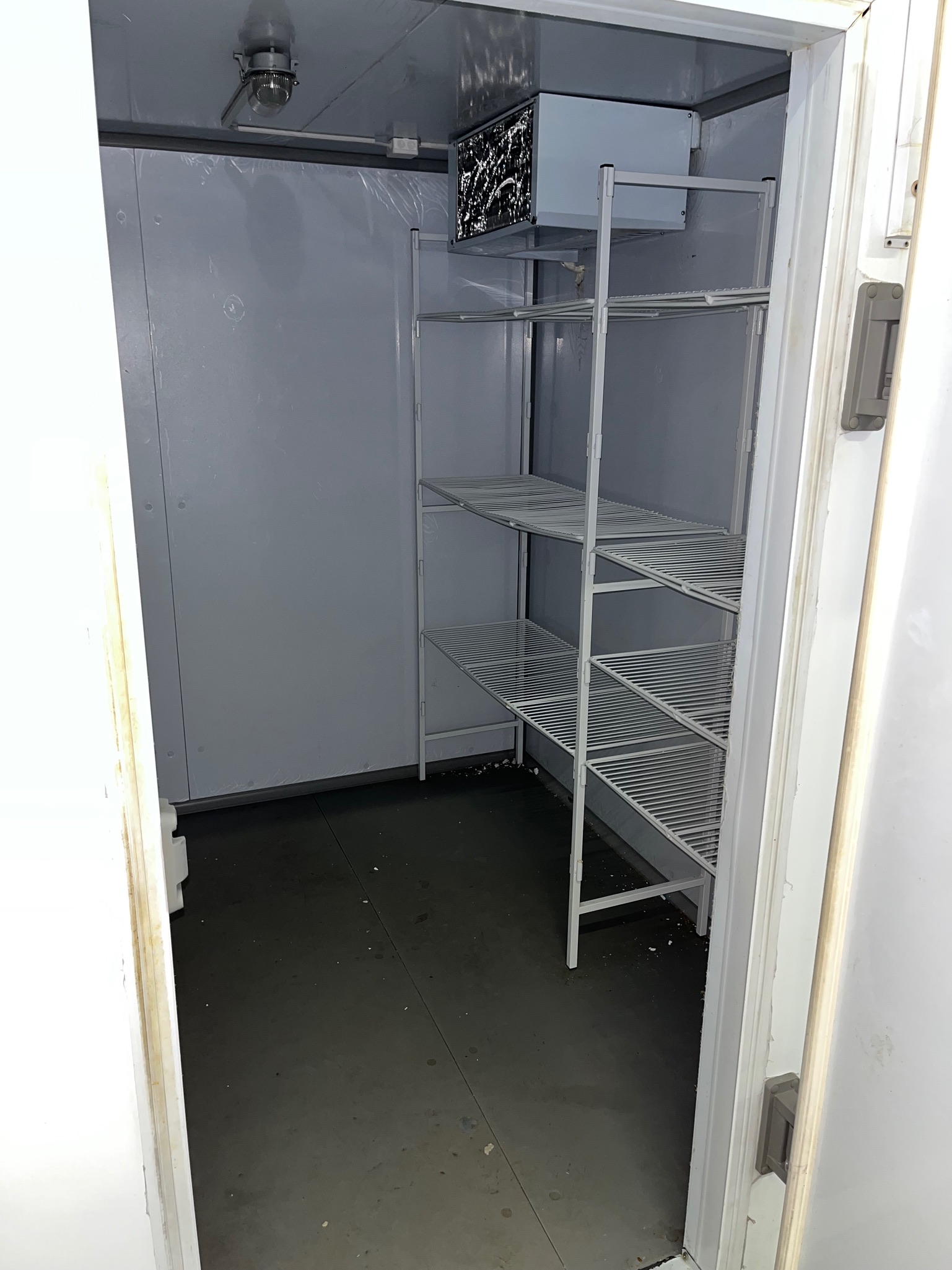 SELT/SOLD - Frystiklefi manngengur - 4fm - Zanotti 6