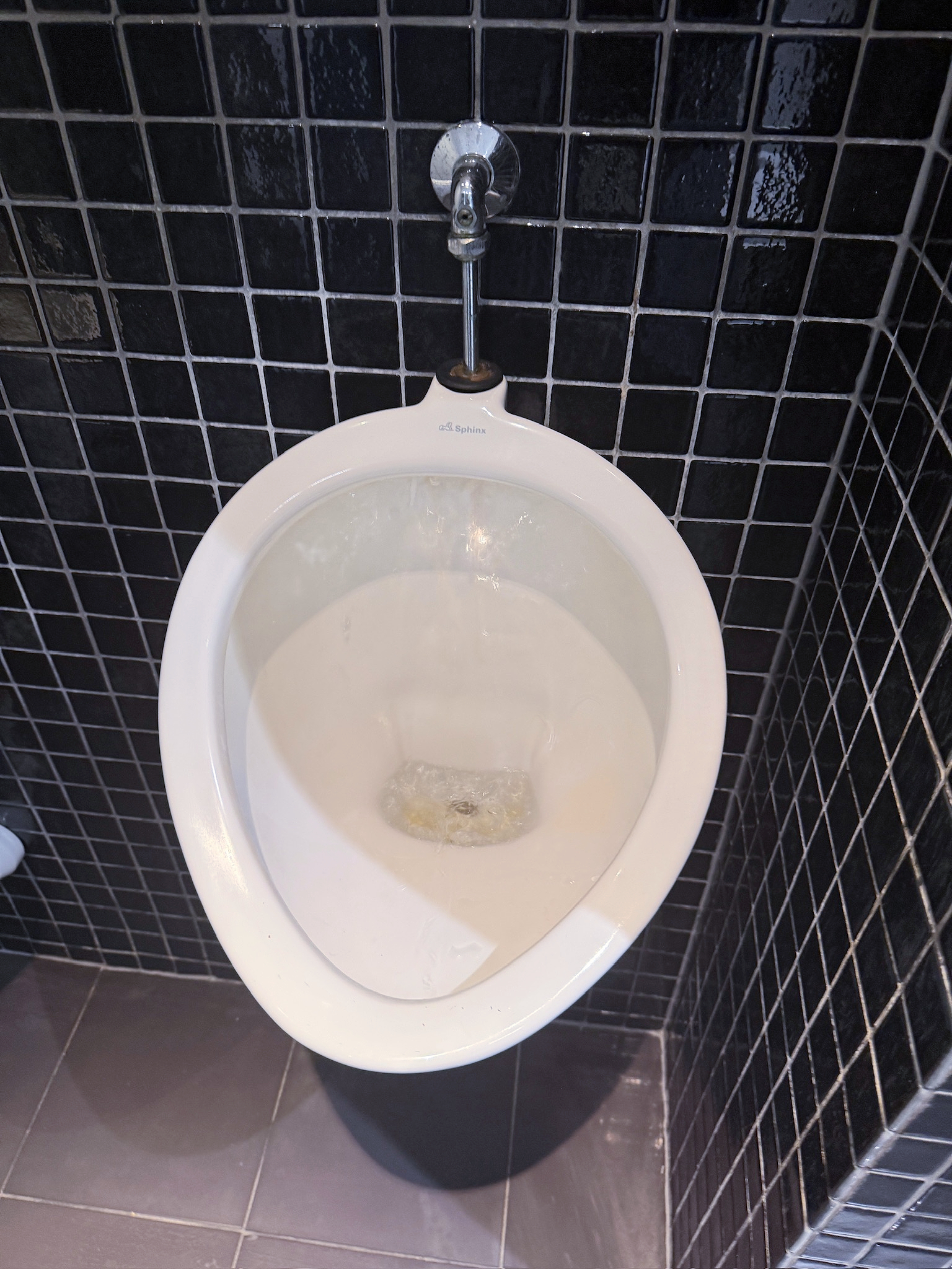 SELT / SOLD Sphinx þvagskálar, pissuskálar - salernisskálar 2