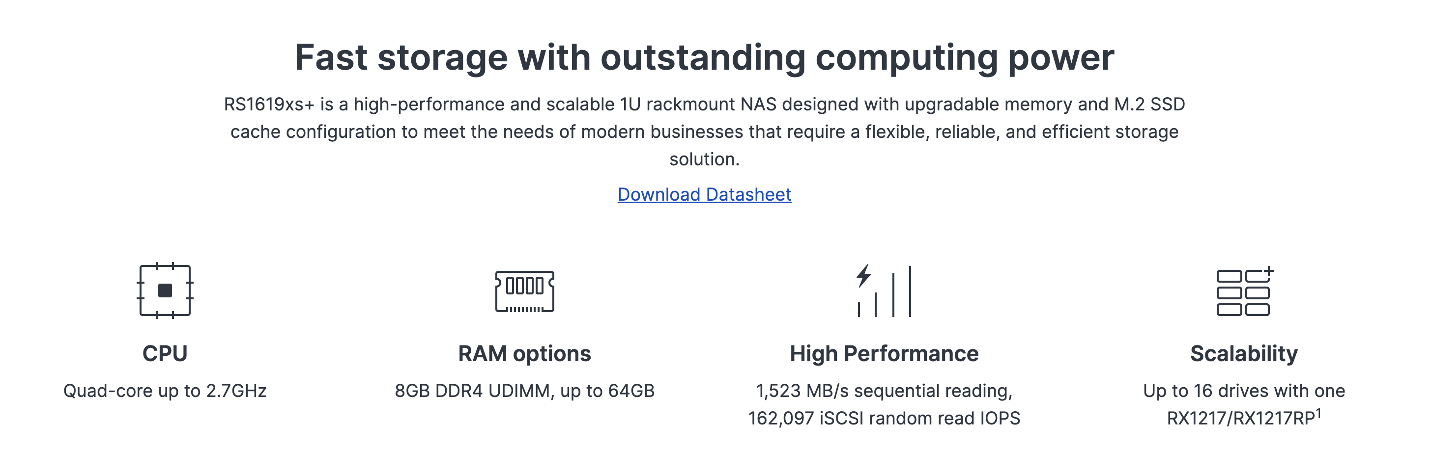 RackStation RS1619xs+Umfram magn 3