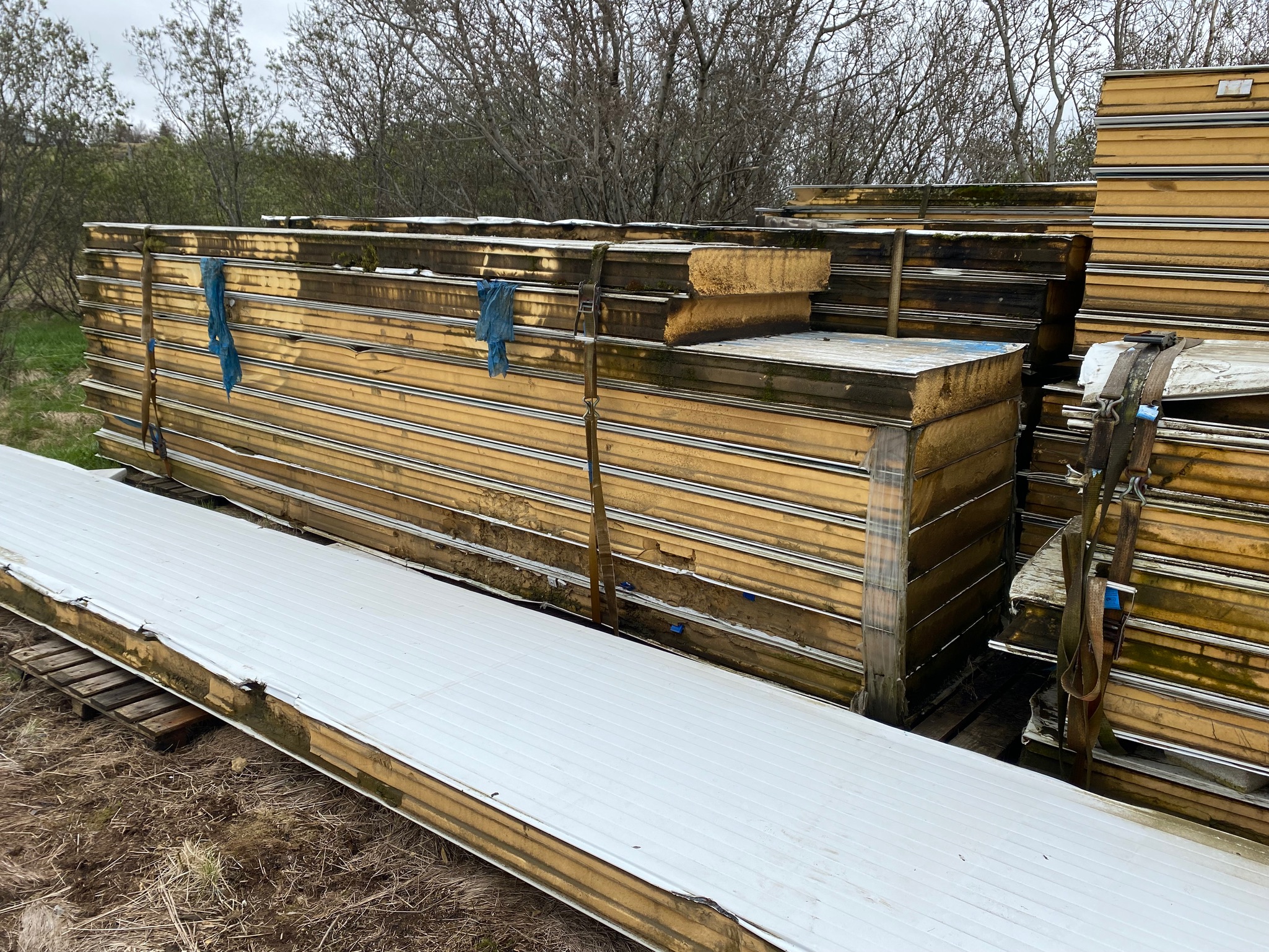 SELT - SOLD Yleiningar 5