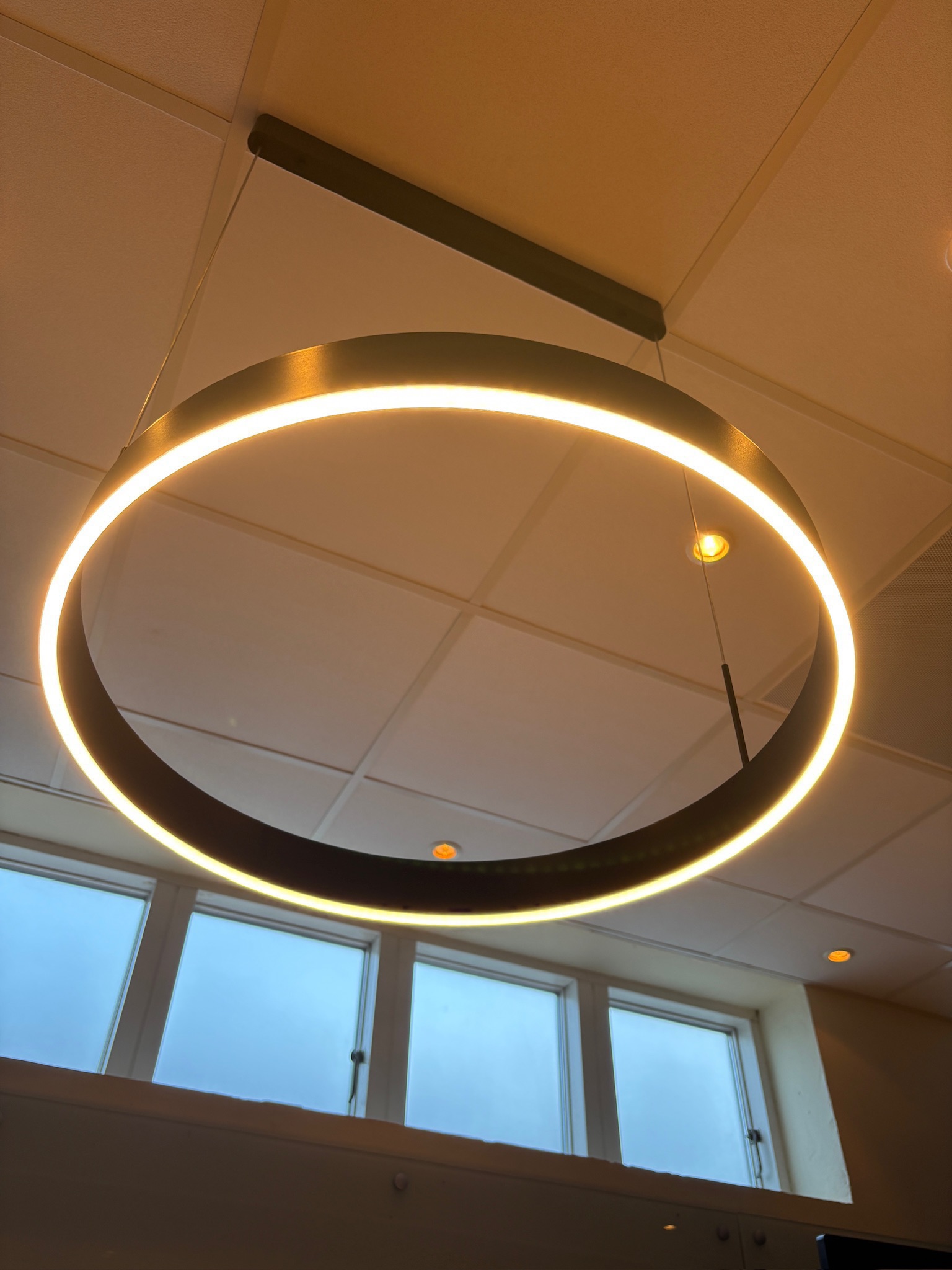Delta Light hangandi ljós, LED, Ø55sm. (6 stk.) 6