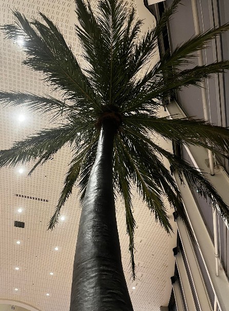 Pálmatré - Palm trees (3 stk) 5
