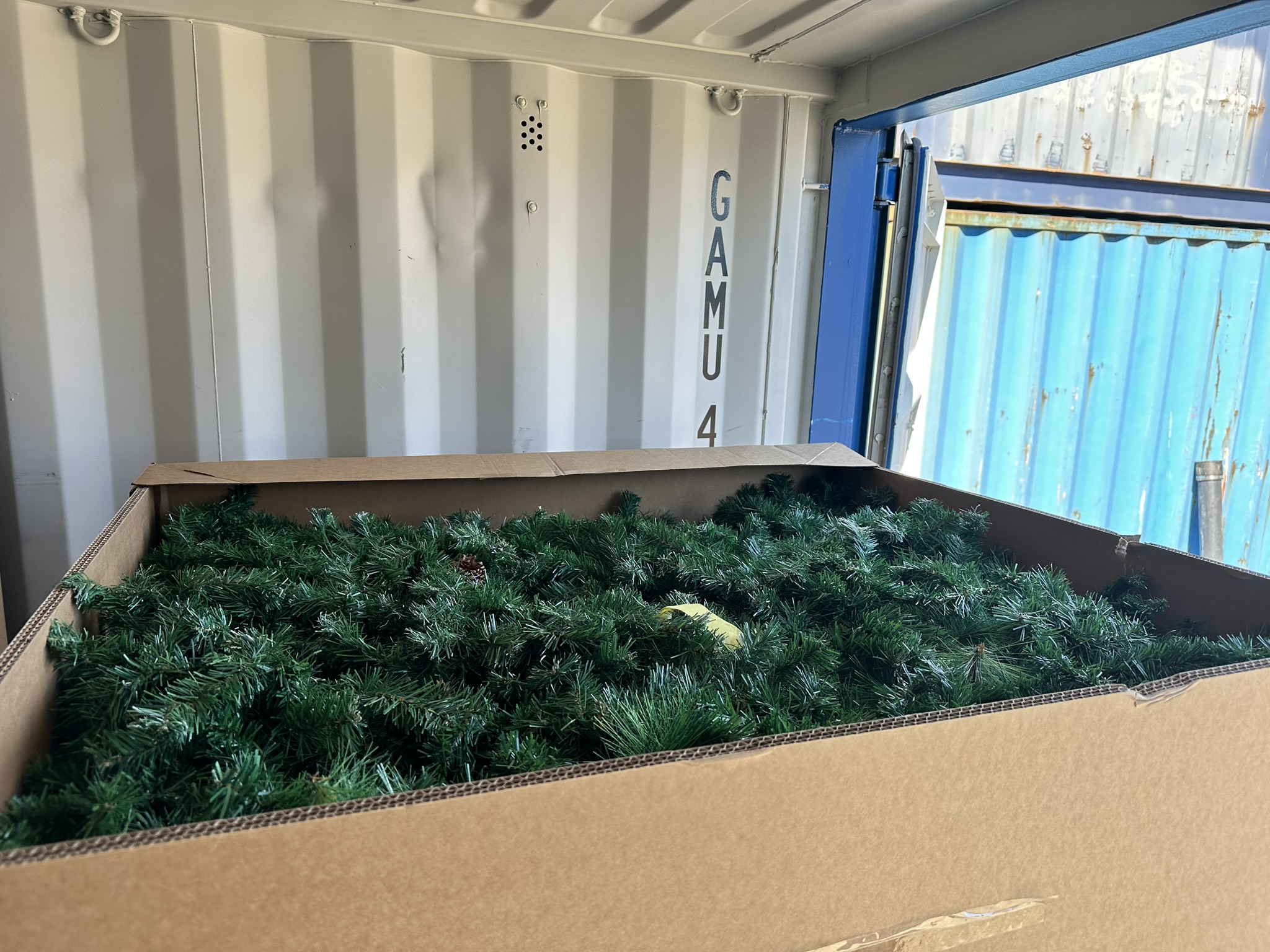 SELT / SOLD Grenilengjur úr sýning - 10 bretti 4