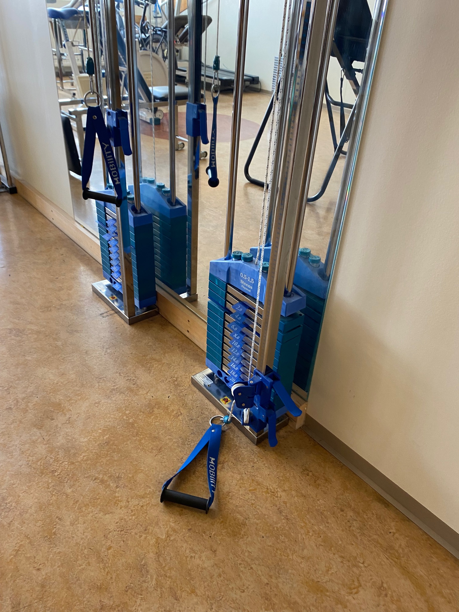SELT / SOLD Trissa / Cable Machine, 20 kg 3