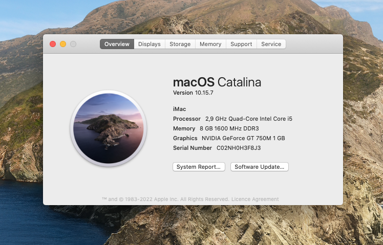 SELT / SOLD iMac Catalina - Late 2013 3