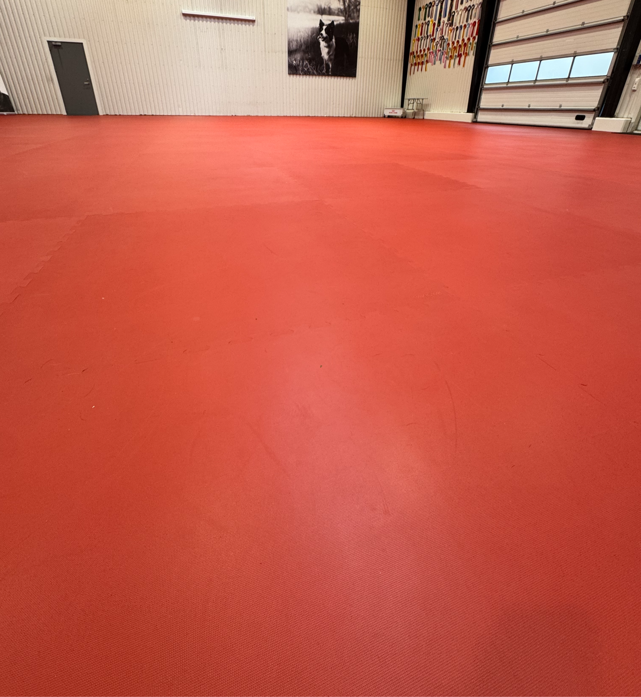SELT / SOLD Pavigym Endurance sportgólfdúkur 2