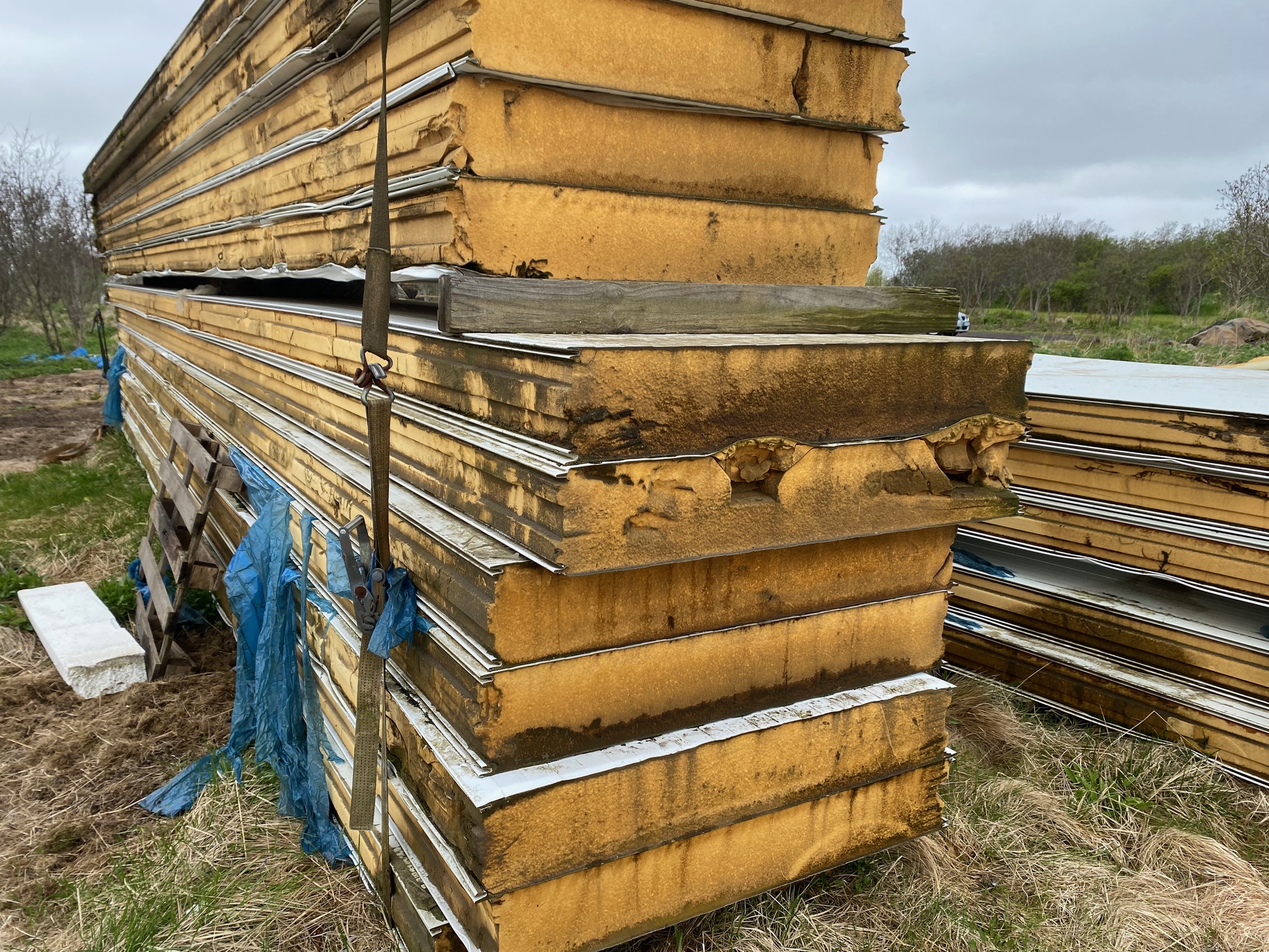 SELT - SOLD Yleiningar 7