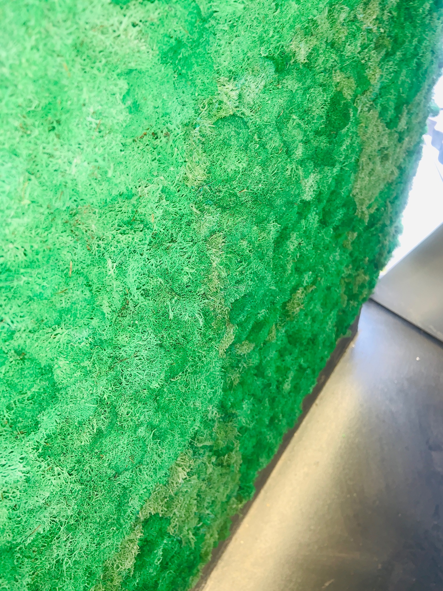 Reindeer Moss 23 fm 6