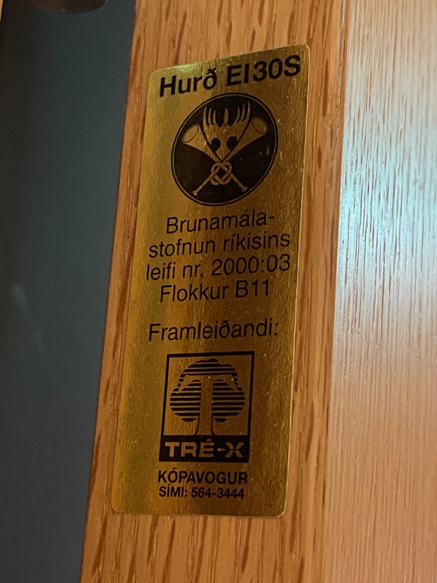 SELT / SOLD Tvöföld eldvarnarhurð með gleri, læsingu og pumpu 15