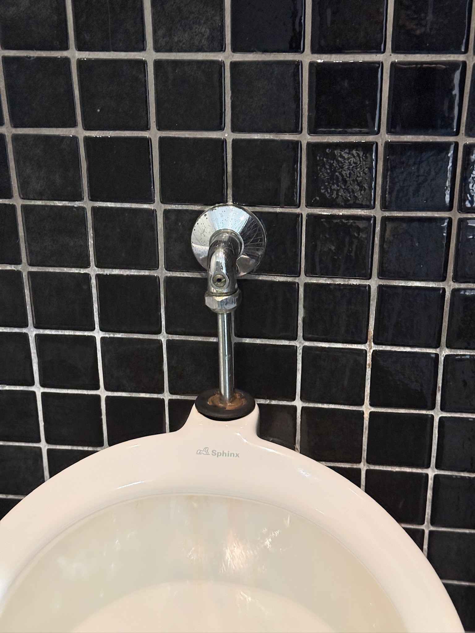 SELT / SOLD Sphinx þvagskálar, pissuskálar - salernisskálar 4