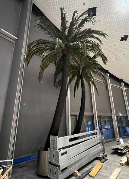 Pálmatré - Palm trees (3 stk) 3