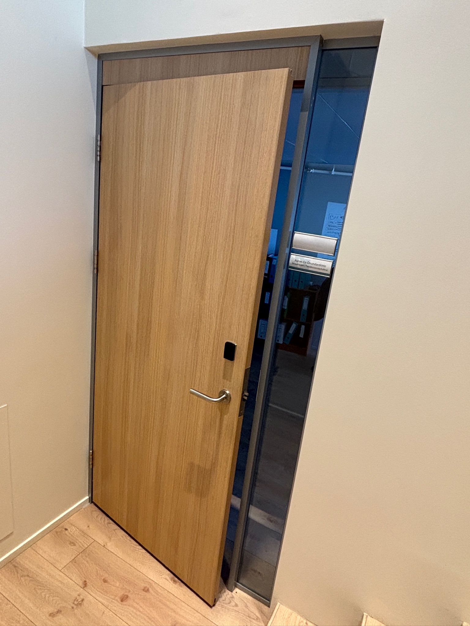 SELT / SOLD Hljóðvistarhurð og gler í ramma, H228xB117sm.