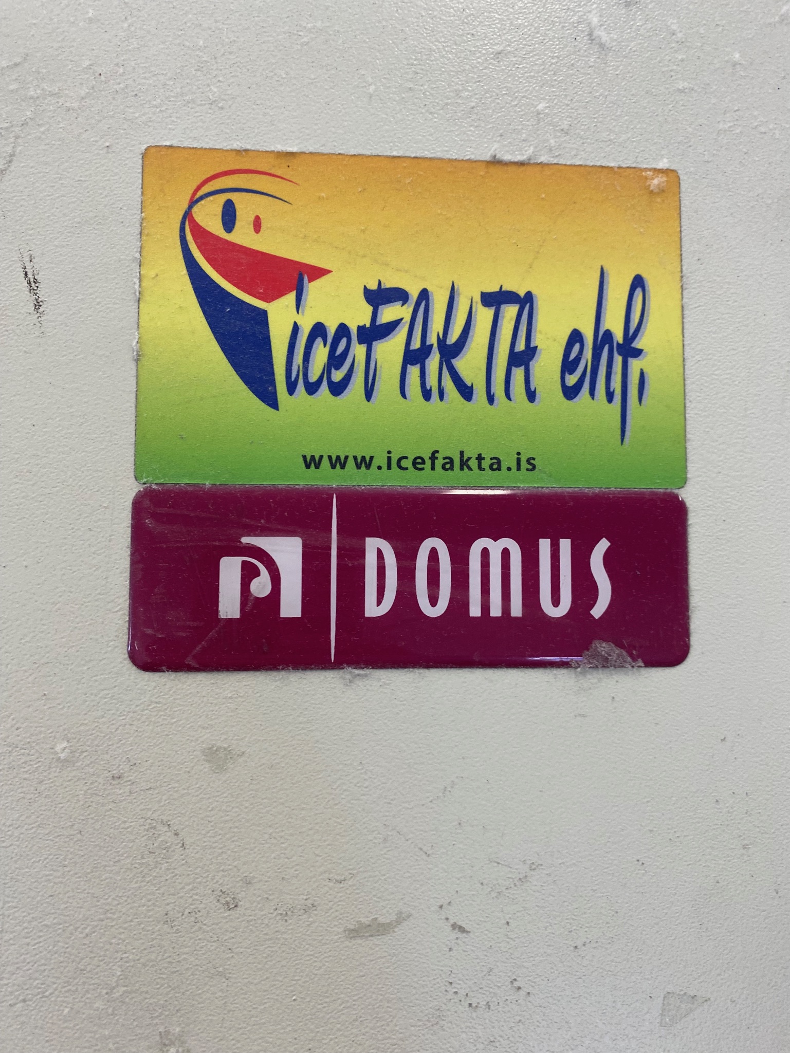 SELT / SOLD Domus iðnaðarstrauvél 13