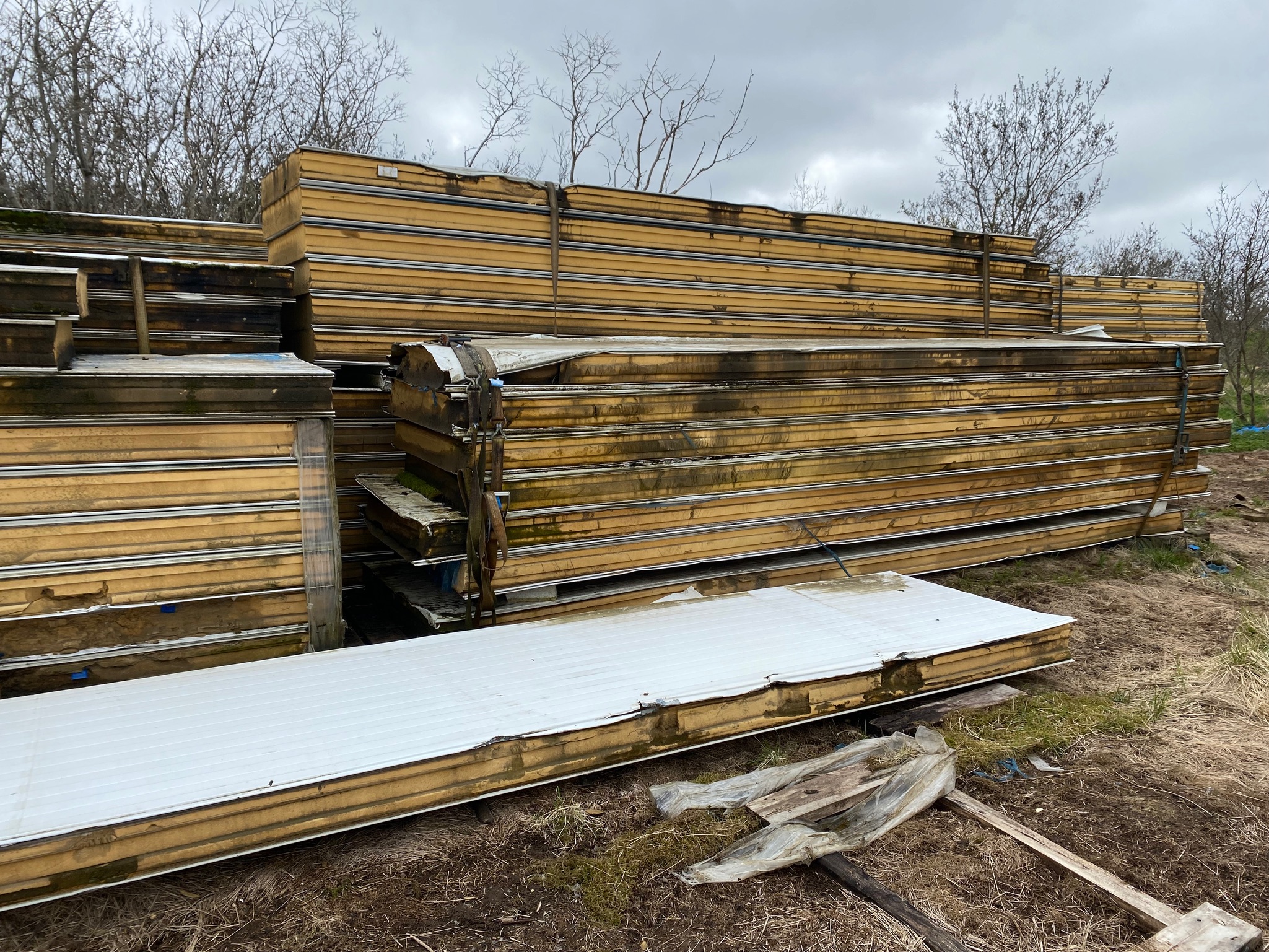 SELT - SOLD Yleiningar 8