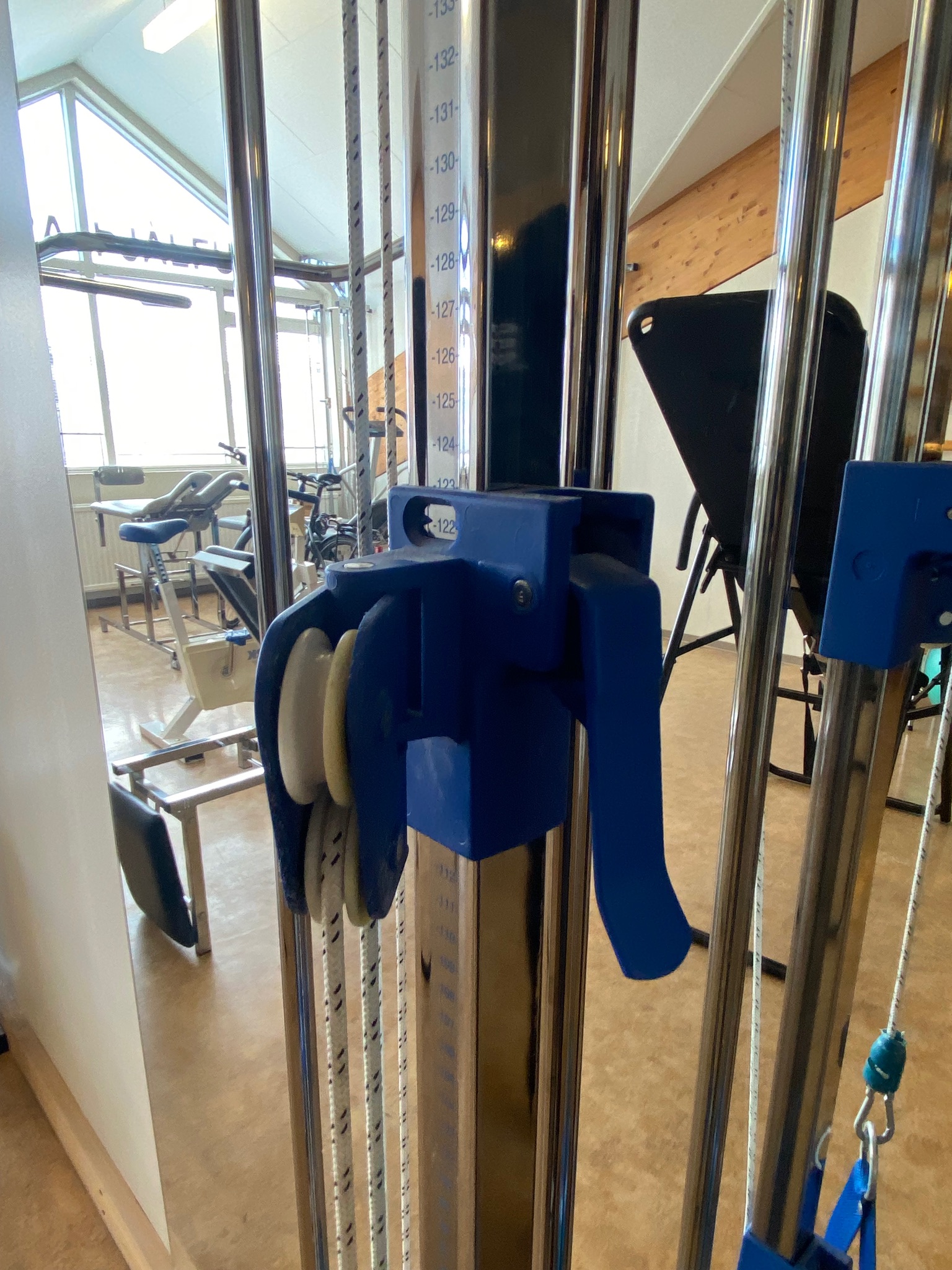 SELT / SOLD Trissa / Cable Machine, 20 kg 5