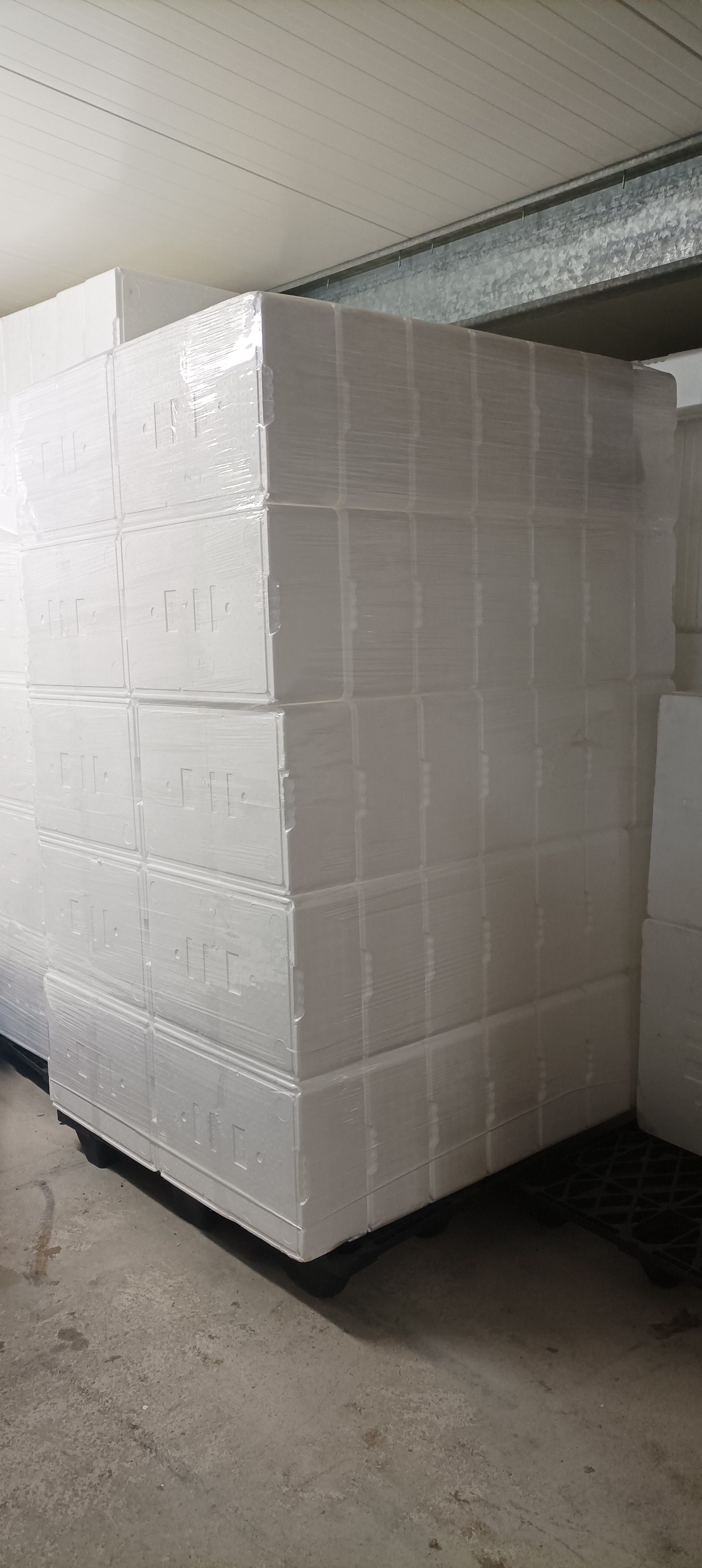 SELT / SOLD Frauðkassar - 15 kg. - 1200 stk. 2
