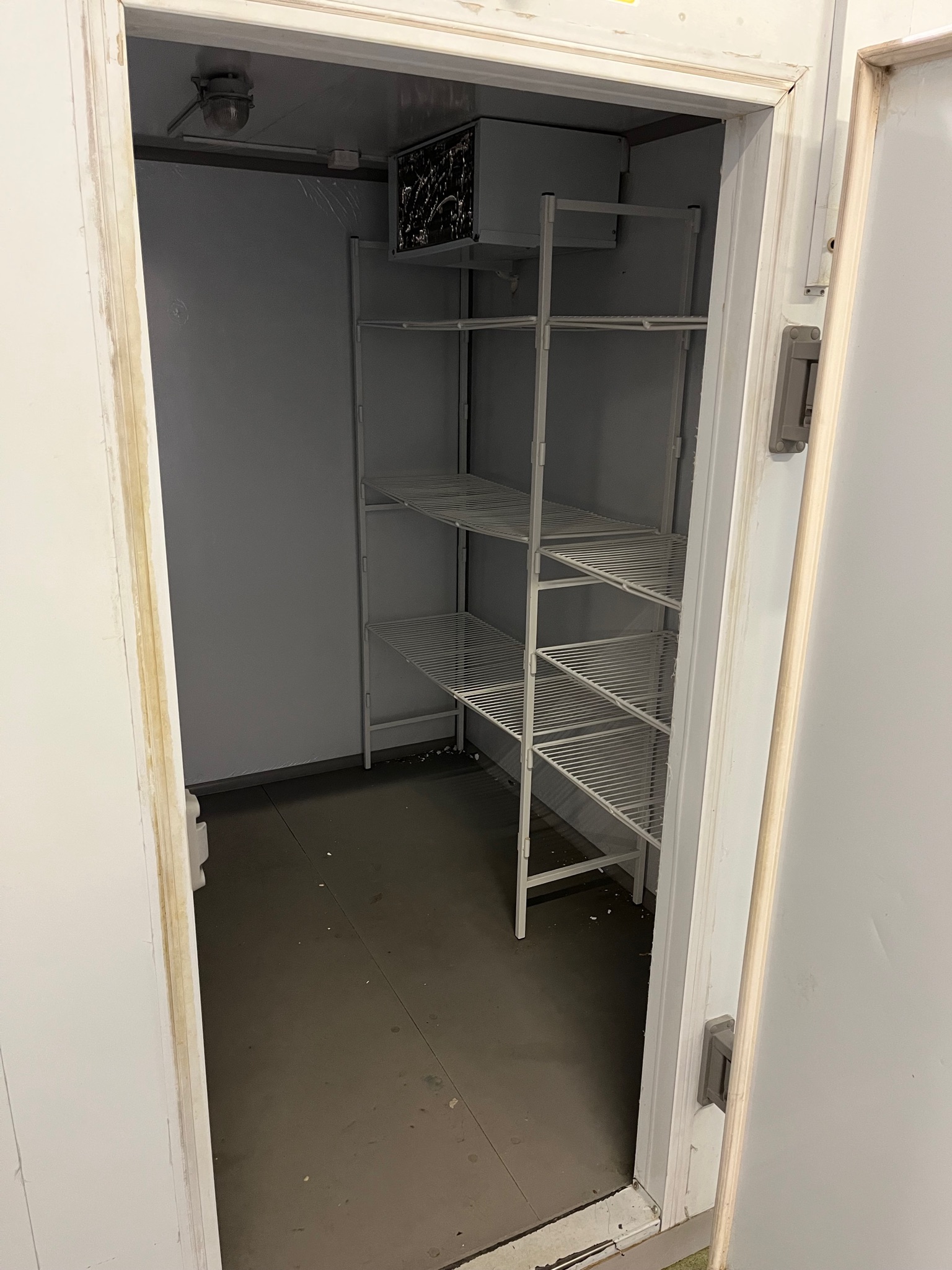 SELT/SOLD - Frystiklefi manngengur - 4fm - Zanotti 7