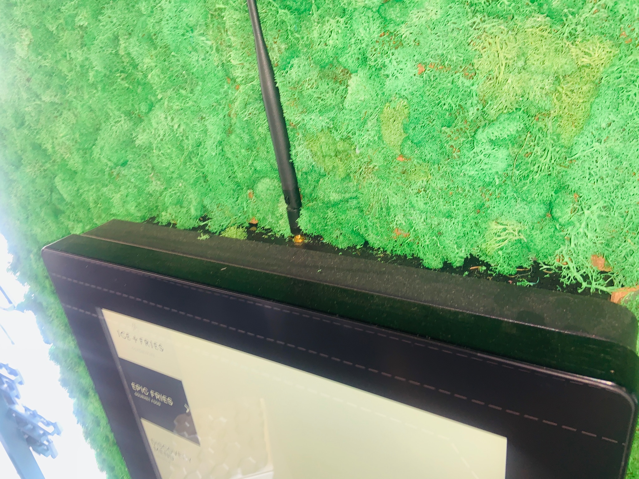 Reindeer Moss 23 fm 7