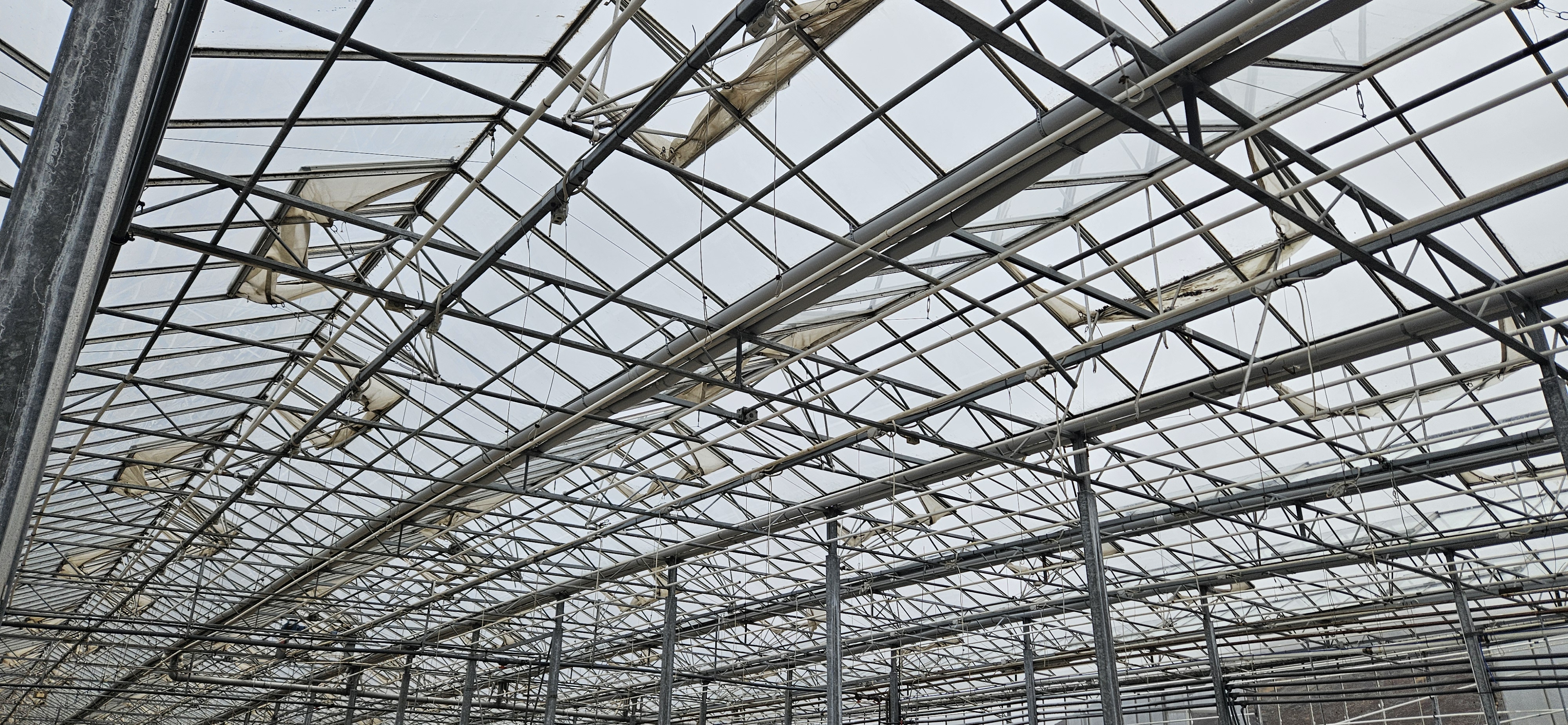 SELT / SOLD - Gróðurhús - gler - plexigler - pípur og grindur - Grindaví 6