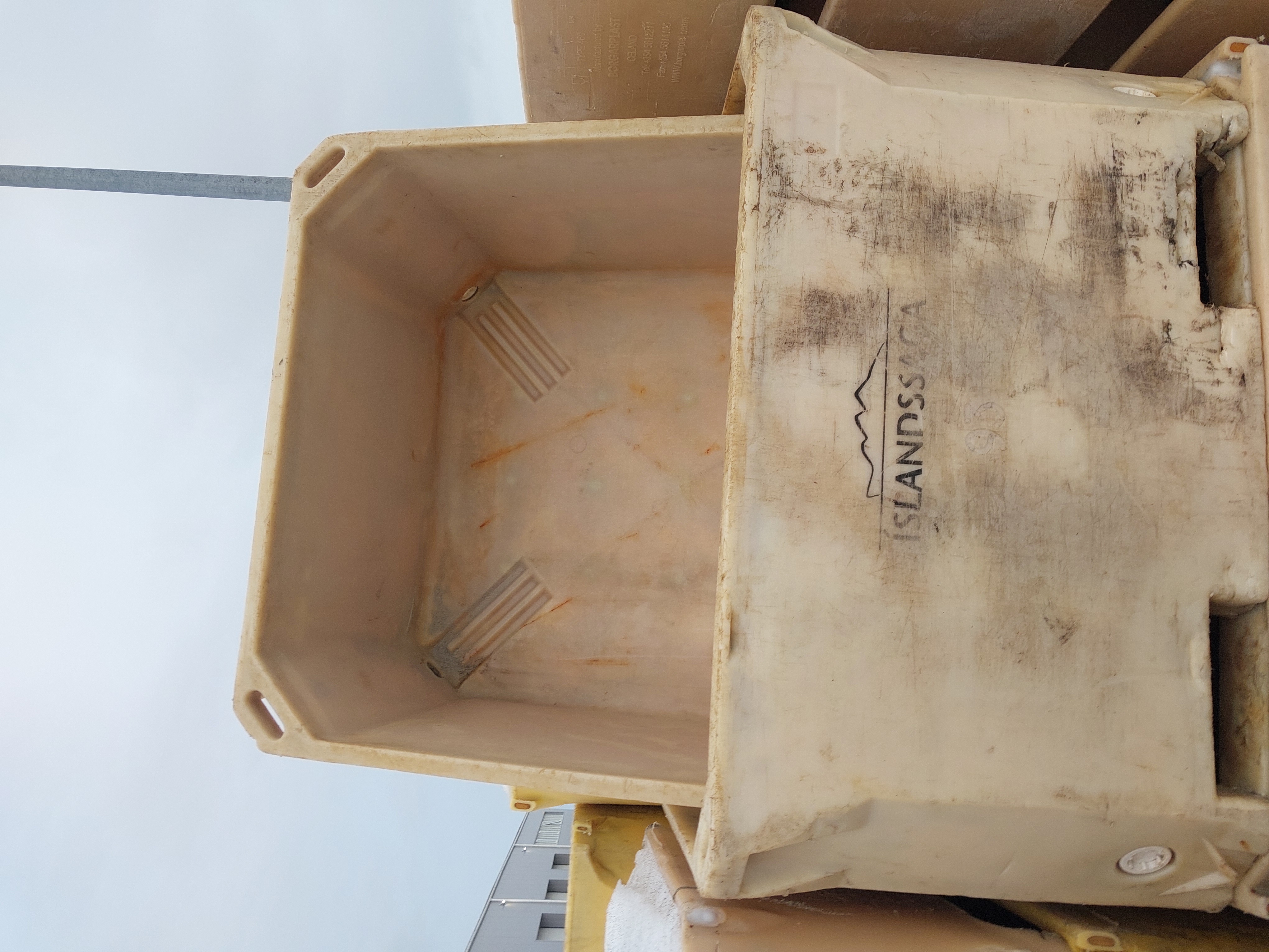 SELT / SOLD Plastkör - B flokkur - 90 stk. Hvammstangi - Kópavogur