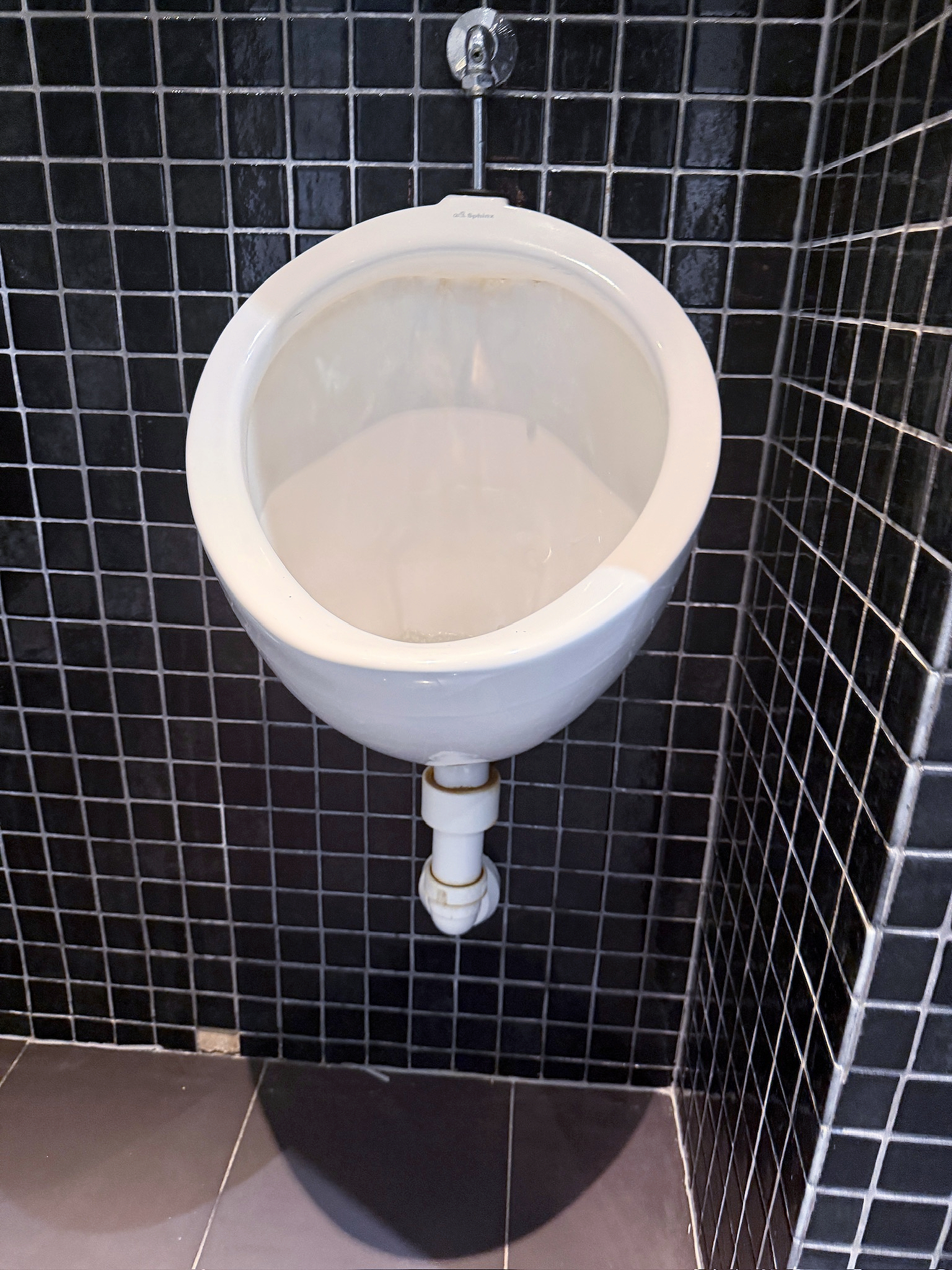 SELT / SOLD Sphinx þvagskálar, pissuskálar - salernisskálar 3