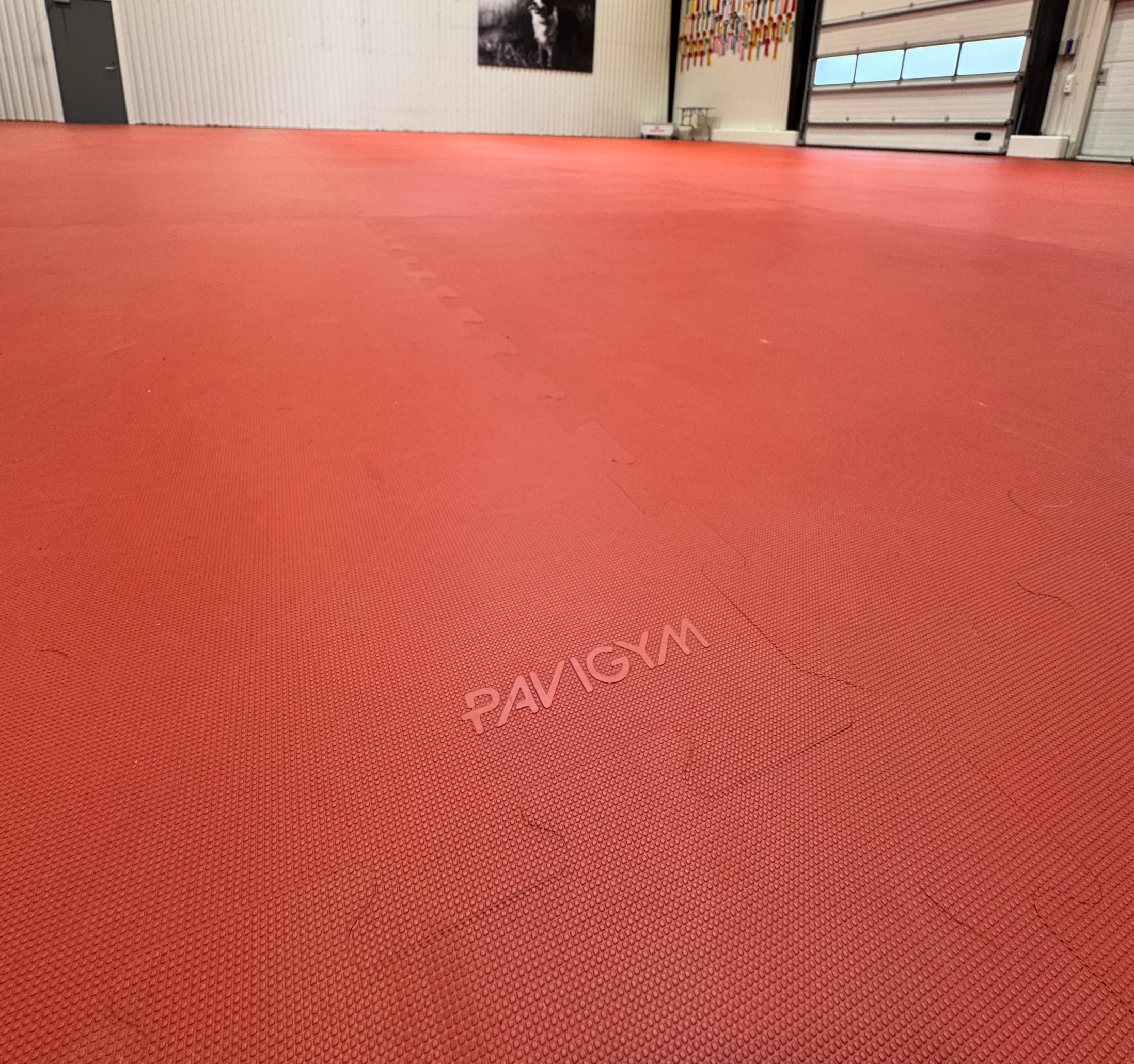 SELT / SOLD Pavigym Endurance sportgólfdúkur